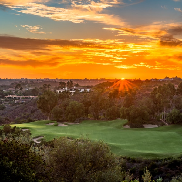 Sunset over a shared green landscape with rolling hills, trees, and open space connecting homes and community land