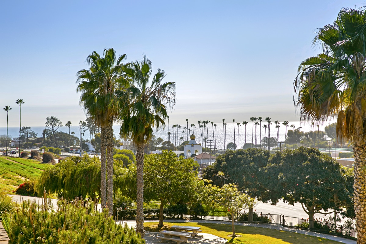 Palm trees overlooking the Southern California coastline with ocean views and open green space on a clear day