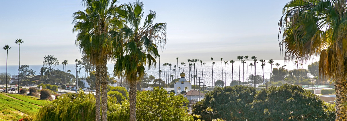 Palm trees overlooking the Southern California coastline with ocean views and open green space on a clear day