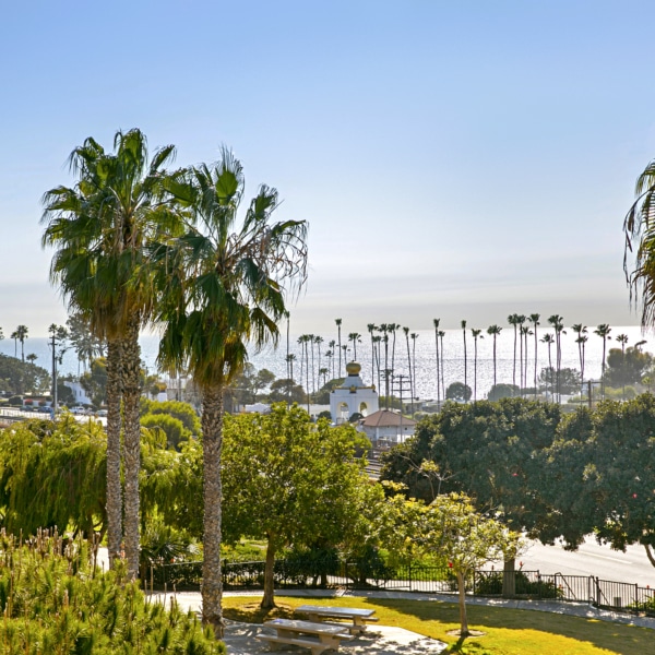 Palm trees overlooking the Southern California coastline with ocean views and open green space on a clear day