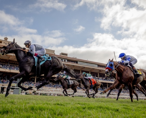 The energy of the track, captured in motion. Thoroughbred horses racing past the grandstand at Del Mar Racetrack