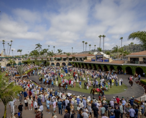 Where anticipation builds before the race begins. Crowd gathered around the paddock at Del Mar watching horses before a race